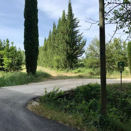 Le Jardin D'Erables St Remy 7 Ha Piscine/Clim Villa Paluds de Noves Bagian luar foto