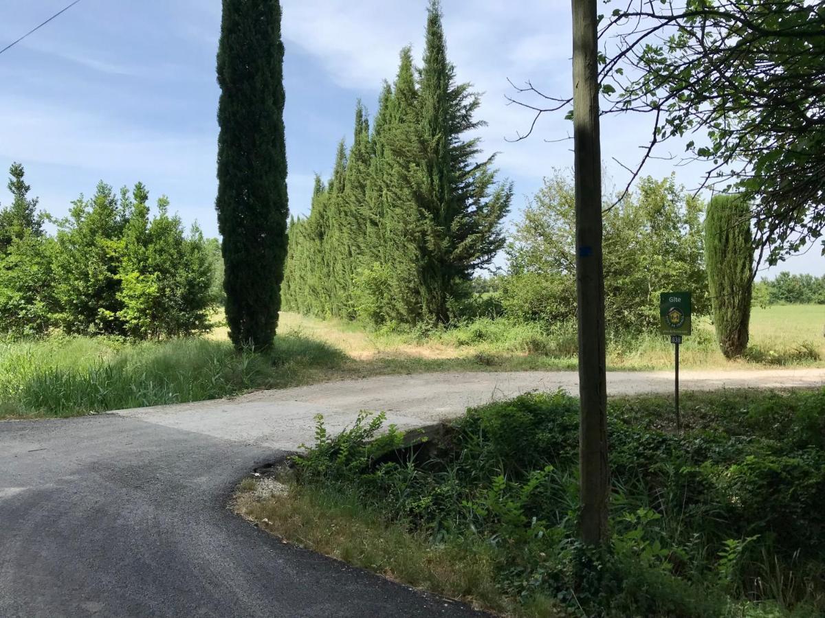 Le Jardin D'Erables St Remy 7 Ha Piscine/Clim Villa Paluds de Noves Bagian luar foto